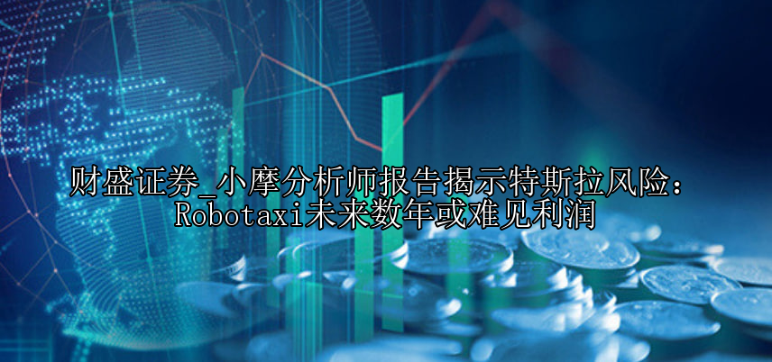 小摩分析师报告揭示特斯拉风险：Robotaxi未来数年或难见利润
